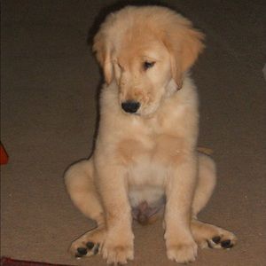 Meet your Posher, Lori